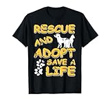 Adopta y Salva una Vida: Los Mejores Productos para Tu Nueva Mascota