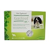 Análisis Comparativo de Gasteel Vet: ¿Es el Suplemento Ideal para la Salud de tu Mascota?