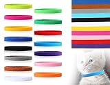 Los Mejores Collares para Mascotas: Análisis y Comparativa de Opciones para tu Compañero Ideal