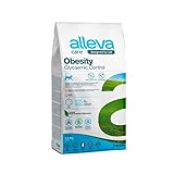 Guía de Compra: Los Mejores Alimentos Broadline para Gatos de 2.5 a 7.5 kg