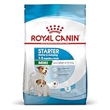 Análisis Completo de Starter Mini Royal Canin: ¿Es la Mejor Opción para tu Cachorro?