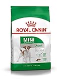 Royal Canin Mini Adulto 2 kg: Análisis y Comparativa del Mejor Alimento para Perros Pequeños