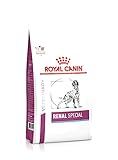 Royal Canin Renal Special para Perros: Análisis y Comparativa de la Mejor Alimentación para la Salud Renal de tu Mascota