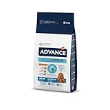 Análisis Completo del Pienso para Perros Advance: ¿Es la Mejor Opción para tu Mascota?
