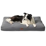 Análisis de la Cama Leeby: ¿Es la Mejor Opción para el Descanso de Tu Mascota?