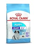 Análisis Exhaustivo del Giant Royal Canin Junior: ¿Es la Mejor Opción para el Crecimiento de tu Mascota?