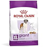 Análisis Completo: Giant Royal Canin, la Mejor Opción para Grandes Razas de Perros