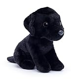 Guía Completa para Comprar un Cachorro Labrador: Precios, Mejores Criadores y Consejos Esenciales