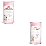 Análisis de Babycat Milk de Royal Canin: La Mejor Opción para Gatos Bebés