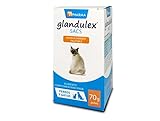 Análisis de Glandulex para Gatos: ¿Es el Suplemento que Tu Mascota Necesita?