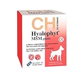 Análisis de Hyalophyt: El Mejor Suplemento para Raza Grandes en el Cuidado de tu Mascota