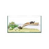 Mejores Tortugueros de Cristal: Comparativa y Análisis de los Productos Más Recomendados para el Bienestar de Tu Tortuga