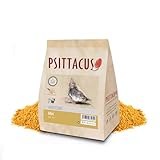 Análisis de la Psittacus Mini Papilla: ¿Es la Mejor Opción para Alimentar a tus Aves?
