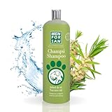 Análisis de los Mejores Champús para Hombres en San: Cuidados Esenciales para Tu Mascota