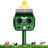 Los Mejores Arneses Anti Escape para Gatos: Análisis y Comparativa de Productos Seguros y Eficaces