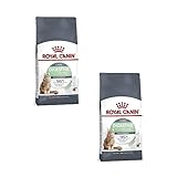 Análisis de Royal Canin Digestive para Gatos: La Mejor Opción para la Salud Digestiva de tu Mascota