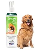 Análisis de TropiClean: ¿Son los mejores productos para el cuidado dental de tu perro?