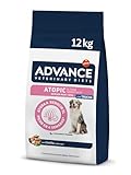 Affinity Ultima vs Advance: Comparativa de los Mejores Alimentos para Mascotas