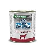 Vet Life Gastro: Análisis y Comparativa de los Mejores Alimentos para Mascotas con Sensibilidad Digestiva