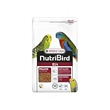 Análisis de B14 Nutribird: El Mejor Alimento para Aves Exóticas en el Mercado