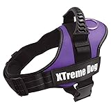 Análisis del Arnés Xtreme Dog: Comparativa de los Mejores Arneses para Mascotas