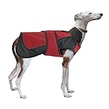 Análisis del Nayeco Chubasquero: El Protector Ideal para Tu Mascota en Días Lluviosos
