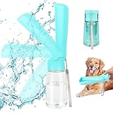 Análisis del Perro de Agua Mini: Precio, Cuidados y Mejores Accesorios para tu Mascota
