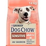 Análisis de Natural Greatness Sensitive Indoor: La Mejor Opción para Mascotas Sensibles en Espacios Cerrados