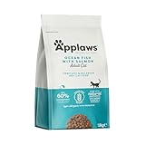 Pienso con Cereales vs. Sin Cereales para Gatos: Análisis y Comparativa de las Mejores Opciones del Mercado