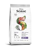 Análisis Exhaustivo de Dibaq Sense Salmon: La Mejor Opción Nutricional para tu Mascota