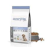 Análisis Comparativo: ¿Por qué elegir Gosbi Exclusive Puppy para tu cachorro?