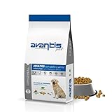Análisis del Precio del Pienso para Perros Gosbi: ¿Vale la Pena Invertir en la Alimentación de tu Mascota?