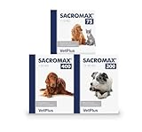 Análisis del Sacromax 300: ¿Es el Mejor Suplemento para la Salud de tu Mascota?