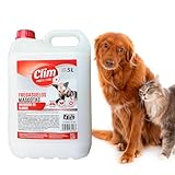 Los Mejores Fregasuelos para Hogares con Perros: Análisis y Comparativa de Productos Efectivos y Seguros
