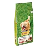 Análisis Completo de los Mejores Piensos Purina para Perros: ¿Cuál es el Ideal para Tu Mascota?