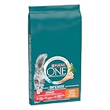 Análisis Exhaustivo del Pienso Purina para Gatos: Comparativa de las Mejores Opciones en el Mercado