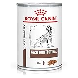 Análisis y Comparativa de Alimentos Gastrointestinales: ¿Por qué elegir Royal Canin para tu Mascota?
