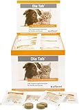 AB Tab para Perros: Análisis y Comparativa de los Mejores Suplementos para la Salud de tu Mascota