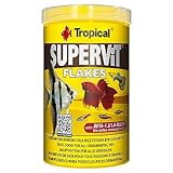 Los Mejores Acuarios y Accesorios para Peces Tropicales: Análisis y Comparativa de Productos Esenciales para tu Acuario