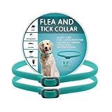 Análisis del NexGard Combo para Gatos de 2 a 5 kg: Comparativa de 15 Pipetas y Su Efectividad en el Cuidado de Tu Mascota