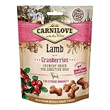 Análisis Completo de Carnilove para Perros: ¿Es la Mejor Opción de Alimentación para tu Mascota?