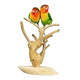 Árbol de Java: El Mejor Refugio Natural para tu Mascota - Análisis y Comparativa de Productos