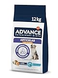 Análisis de Advance Articular: Comparativa de los Mejores Suplementos para la Salud Articular de tu Mascota