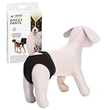Las Mejores Braguitas para Perritas: Análisis y Comparativa de Productos Esenciales para Tu Mascota