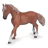 ¿Cuánto cuesta un caballo pura sangre? Análisis de precios y mejores opciones para amantes de la equitación