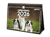 Guía Completa: Calendario de Vacunación de Perros y los Mejores Productos para su Cuidado