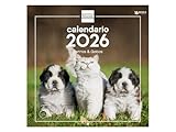 Calendario Vacunal para Perros: ¿Cómo Elegir las Mejores Vacunas y Productos para la Salud de tu Mascota?