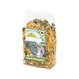 Guía Completa para Comprar Chinchillas: Análisis y Comparativa de los Mejores Productos para Cuidar a tu Nueva Mascota