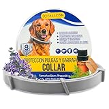 Collar Antiparasitos Scalibor: Análisis y Comparativa con los Mejores Productos para Proteger a tu Mascota