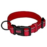 Collar Halti para Perros: Análisis y Comparativa de los Mejores Modelos del Mercado